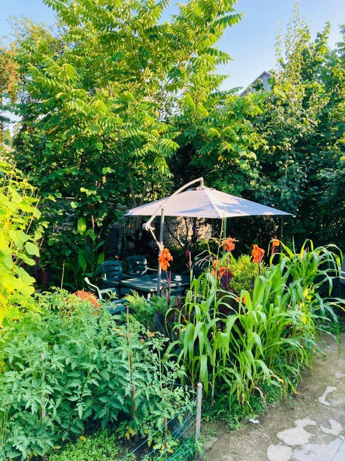 Guest House Barbi Batumi Ngoại thất bức ảnh