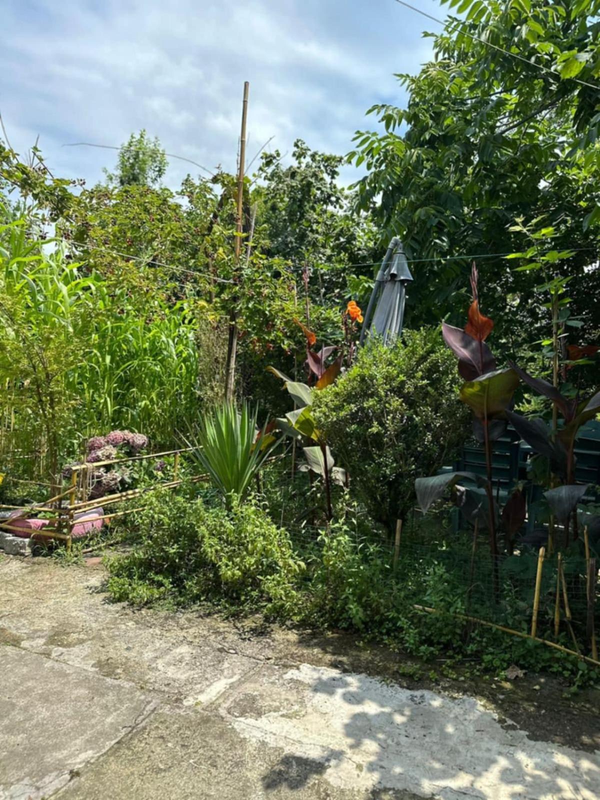 Guest House Barbi Batumi Ngoại thất bức ảnh