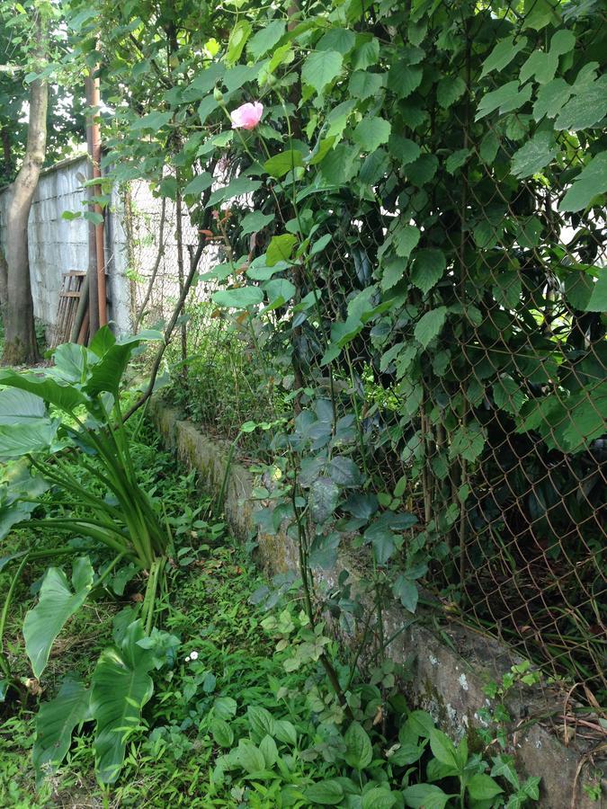 Guest House Barbi Batumi Ngoại thất bức ảnh