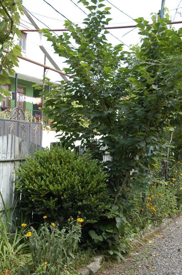 Guest House Barbi Batumi Ngoại thất bức ảnh